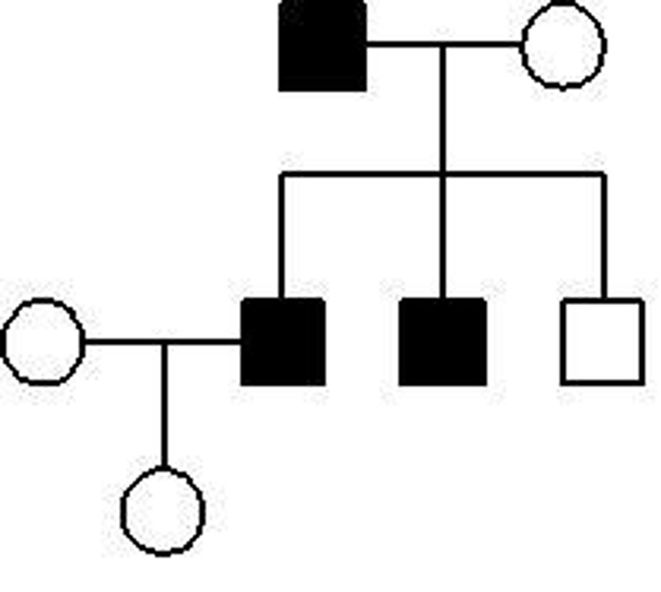<p>Autosomal dominant</p><p>Autosomal recessive</p><p>X-linked recessive</p>