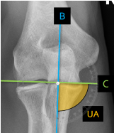 <p>Q what is the name of this measurement? and what is the average + range?</p>