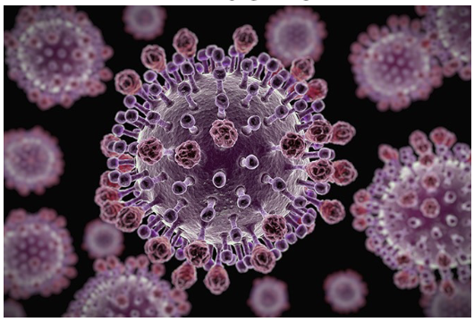 <p>hemagglutinin (HA protein) (shorter ones) and neuraminadase (taller ones)</p>