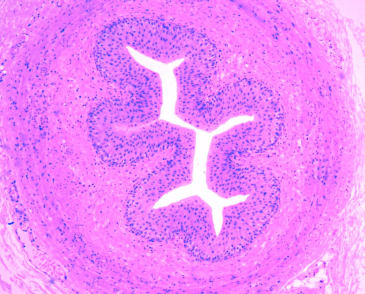 <p>ID the image</p>