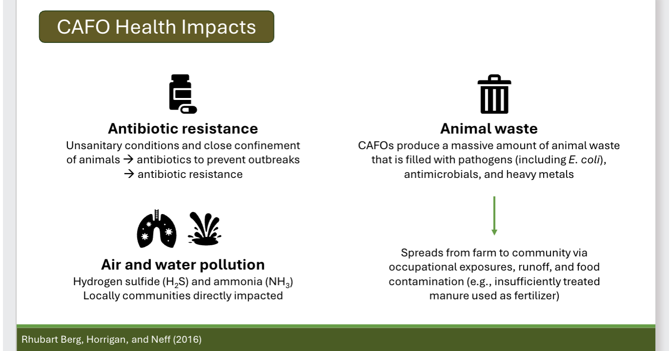 <p>CAFOs: factory farm buildings with high-density confinement of livestock w/o access to grass or vegetation. Concerns about environmental health impacts and animal welfare </p><ul><li><p>CAFOs health impacts:</p><ul><li><p>antibiotic resistance: unsanitary conditions and close confinement of animals→ antibiotics to prevent outbreaks→antibiotic resistance</p></li><li><p>air and water pollution: hydrogen sulfide (H2S) and ammonia (NH3). locally communities are directly impacted </p></li><li><p>animal waste: CAFOs produce a massive amount of animal waste that is filled with pathogens (including E coli), antimicrobials, and heavy metals</p><ul><li><p>animal waste→spreads from farm to community via occupational exposures, runoff, and food contamination (ex: insufficiently treated manure used as fertilizer)</p></li></ul></li></ul></li></ul><p></p>