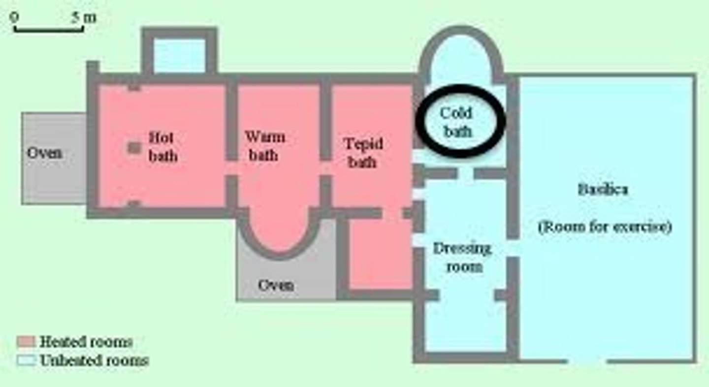 <p>The cold-bath section of a Roman bathing establishment</p>