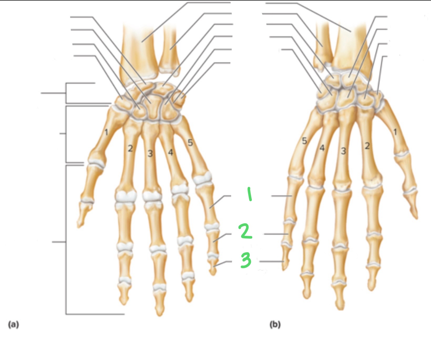 <p>What does each number represent?</p>
