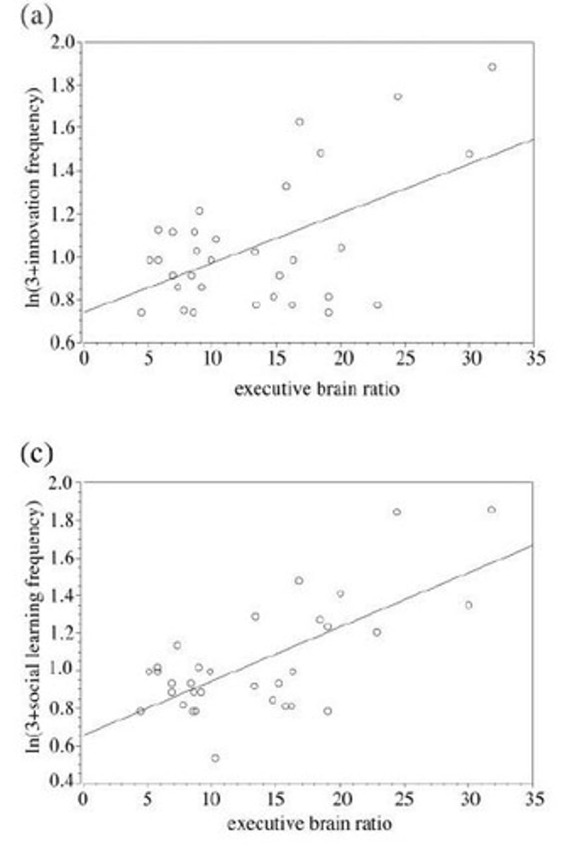 <p>Ability to create solutions for novel problems.</p>