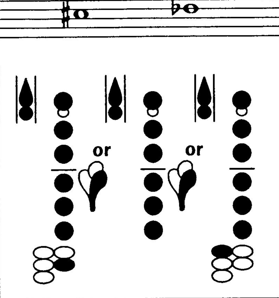 <p>What notes are these?</p>