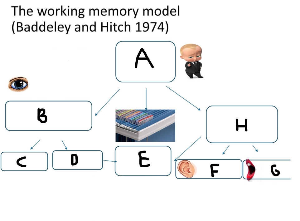 <p>Label the diagram</p>