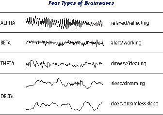 <p>a non-invasive method used to measure electrical activity in the brain by placing electrodes on the scalp. It records and analyzes brain waves, providing insights into brain functioning and activity <strong>shows function</strong></p>