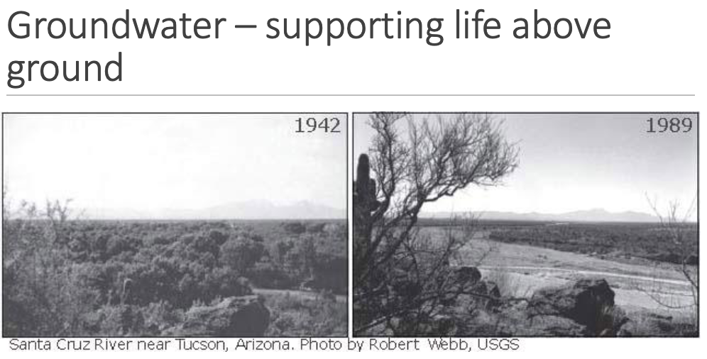 <p>explain this</p>