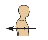 <p>Posterior/ Dorsal</p>