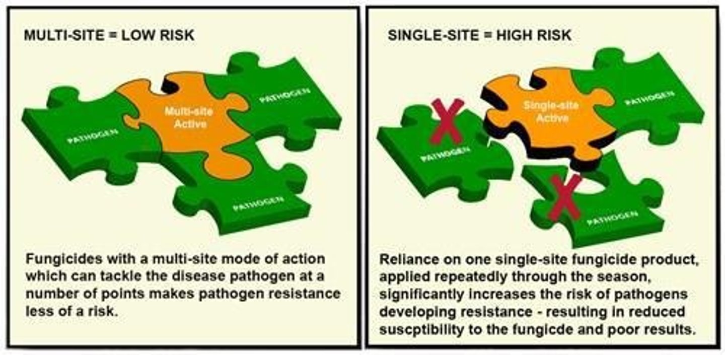 <p>Active against only one point in one metabolic pathway in a pathogen or against a single critical enzyme or protein needed by the fungus.</p>