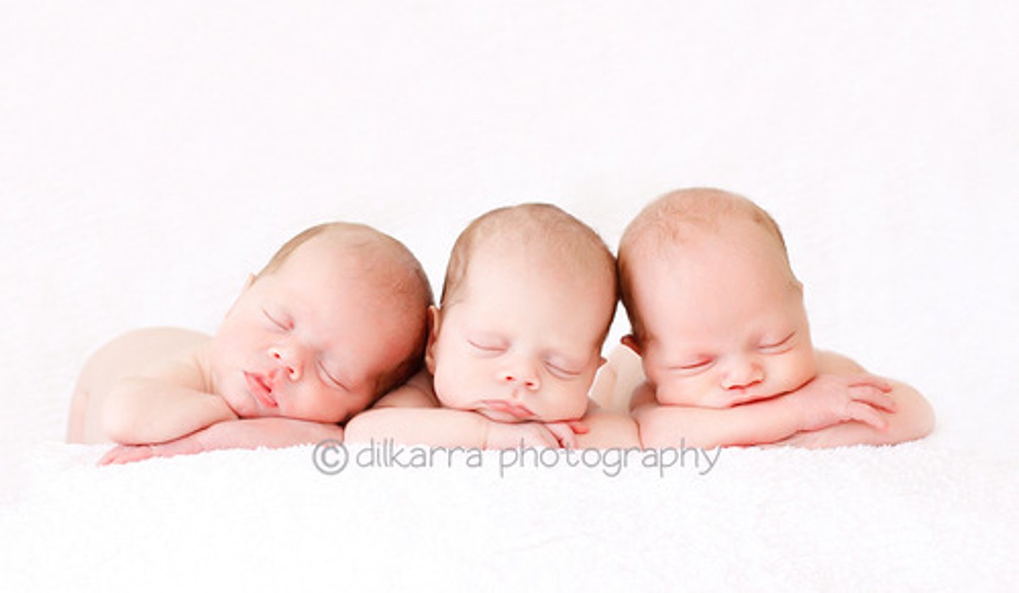 <p>(n) anh chị em sinh ba</p>