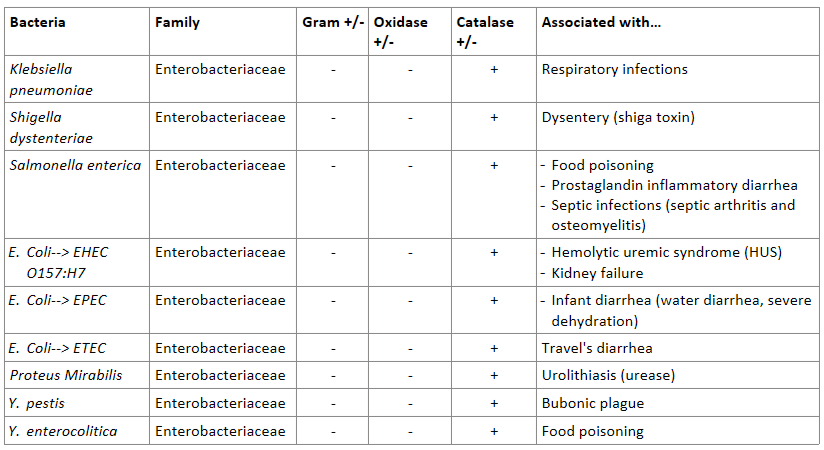 <p>ENTEROBACTERIACEAE REVIEW</p>