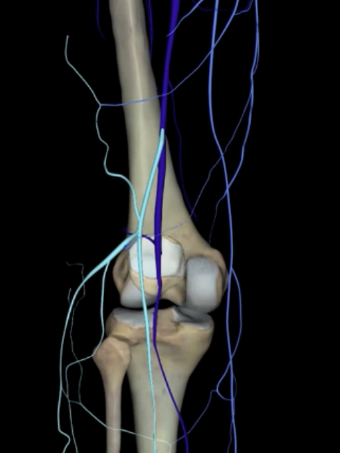 <p>What is highlighted in blue?</p>