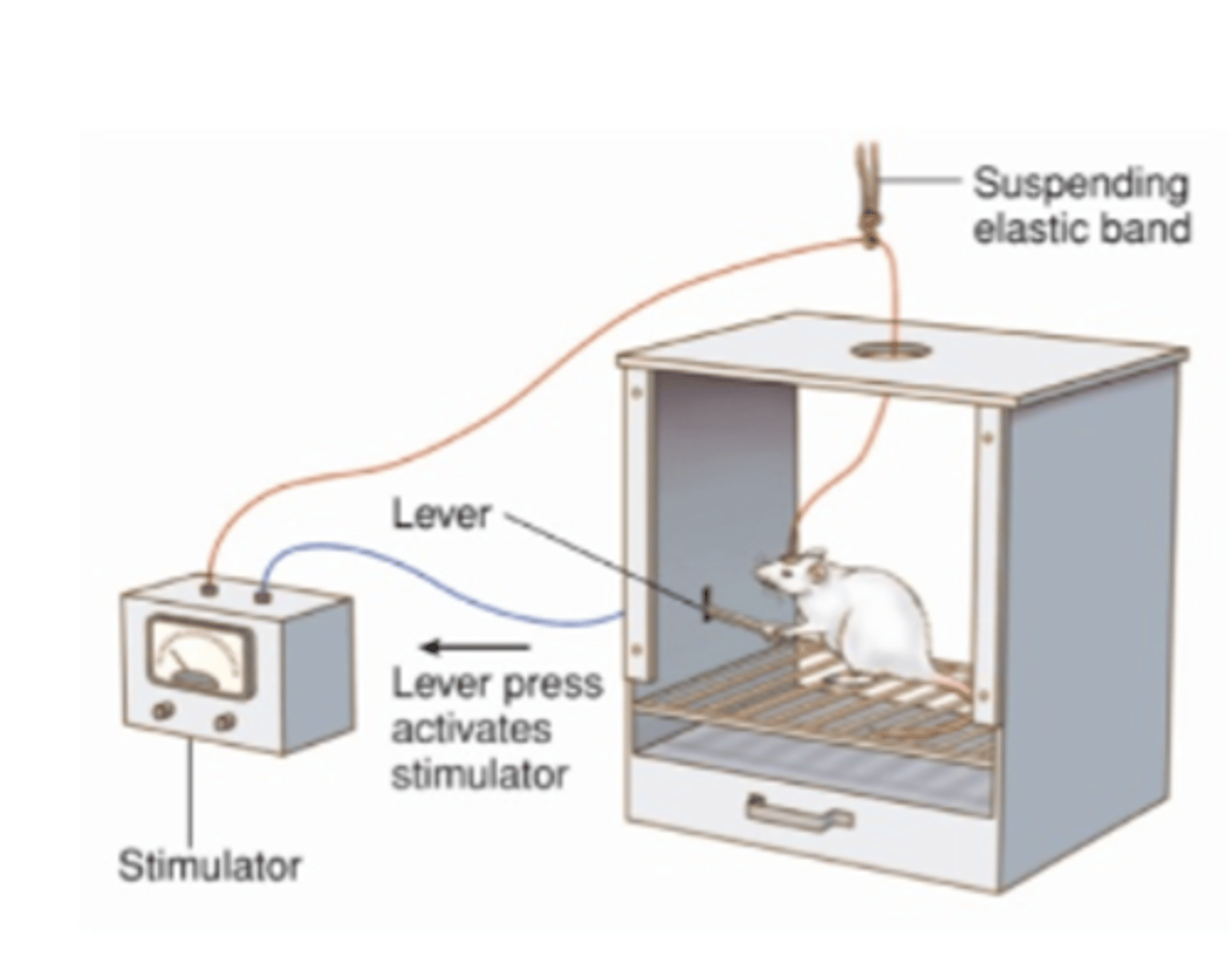 <p>This describes when an electrode is placed in different parts of a rats brain. The rat is given a lever, which (when pressed) can stimulate different regions of the brain through electrical stimuli.</p>