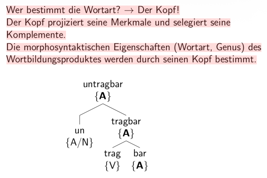 <p><span><strong>Kopf und Projektion der Wortstruktur</strong></span></p>