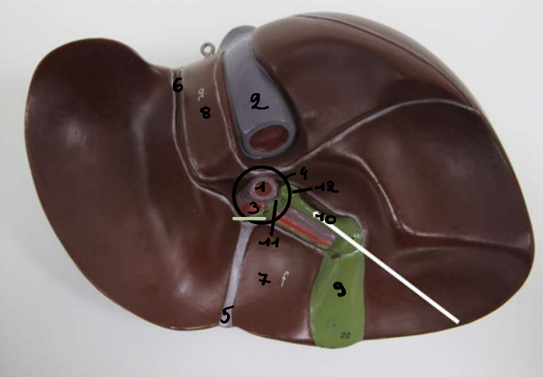 <p>9</p>