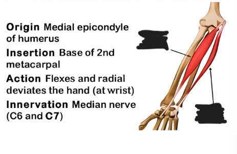 knowt flashcard image