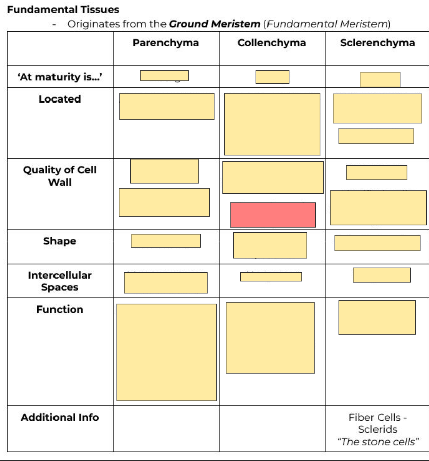 <p>Quality of cell wall?</p>