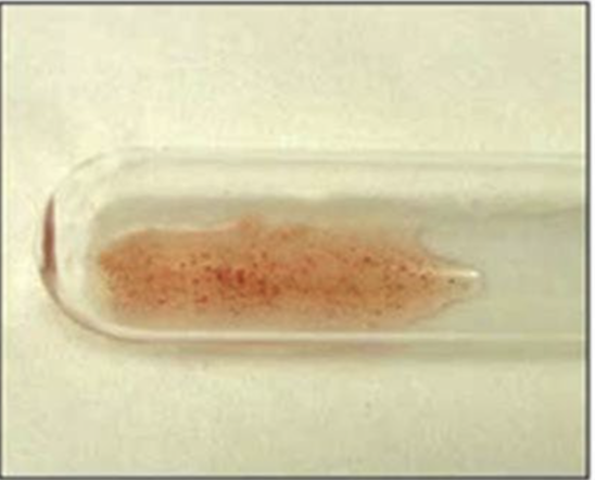 <p>Haemagglutination reaction</p>