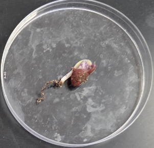 <p>What is being shown?</p>