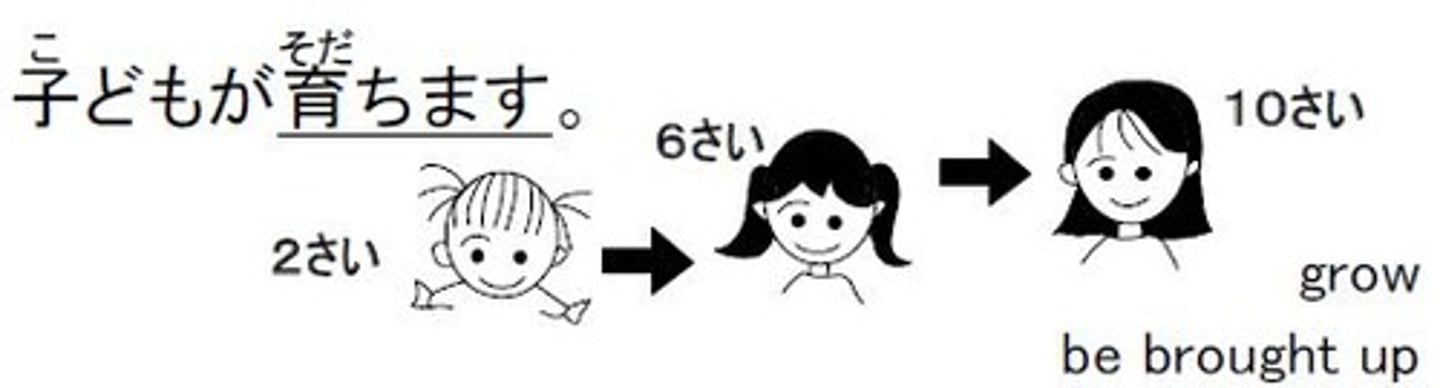 <p>[DỤC]</p><p>(が-そだつ ) được nuôi dạy, lớn lên, phát triển</p><p>育てる</p><p>(を-そだてる ) nuôi, dạy, nuôi cấy, chăm sóc</p>