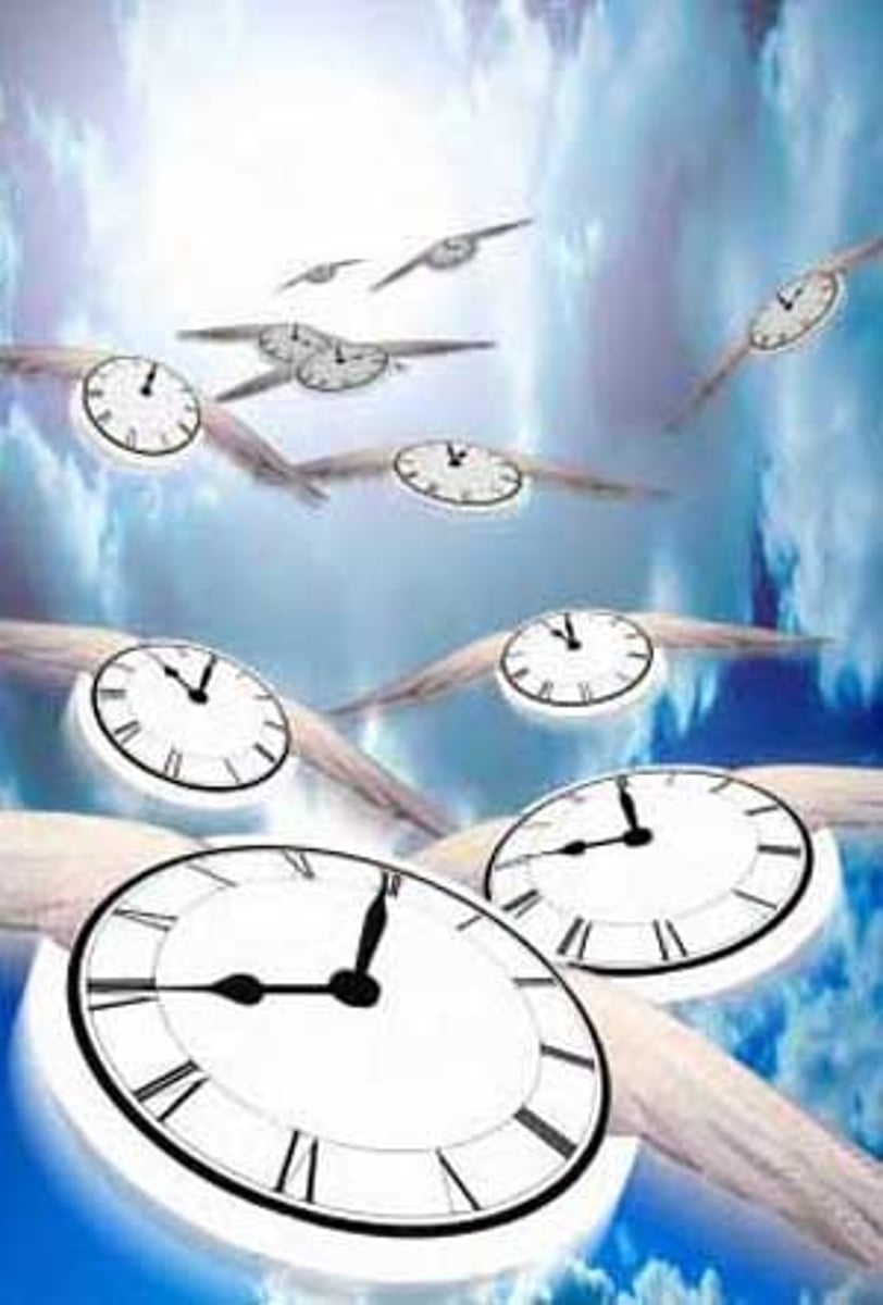 <p>In Latina lingua, this phrase indicates that should value every minute because time can slip away quickly.</p>