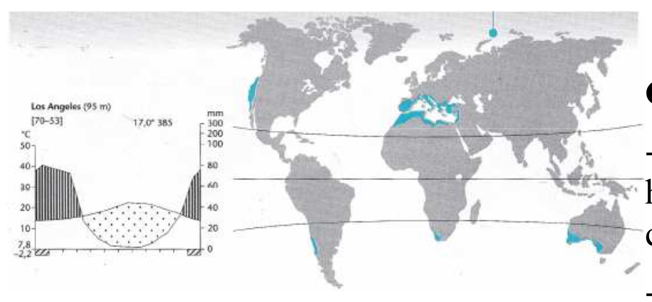 <p><span style="line-height: 21.6px;"><strong>Milieu méditerranéen / Chaparral</strong></span></p>