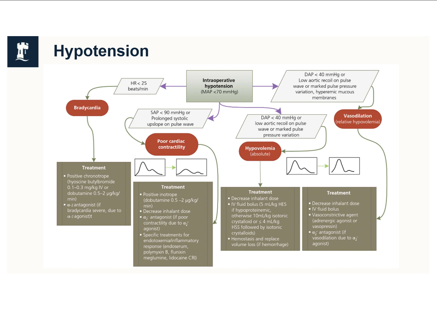 <p>Use positive inotrope (dobutamine)</p><p>Reduce isoflurane</p><ul><li><p>This is causing the low bp. Get to min level we can</p></li></ul><p>Use PIVA</p><p>Increase fluids (if hypovolaemic)</p><ul><li><p>Improve vasc vol</p></li></ul><p></p>