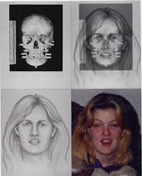 <p>Photographic overlays, 2D drawings…</p>