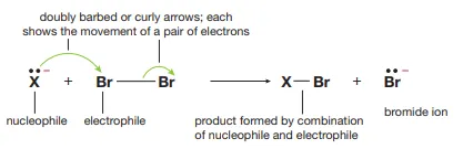 <p>Identify this image</p>