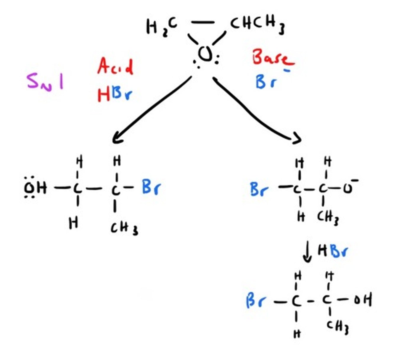 knowt flashcard image