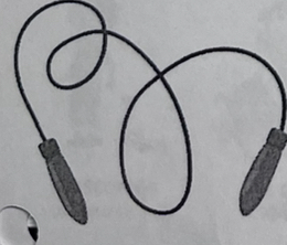 <p>a jump rope</p>