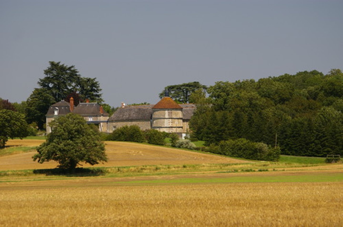 <p>land given to lesser lords from a noble</p>