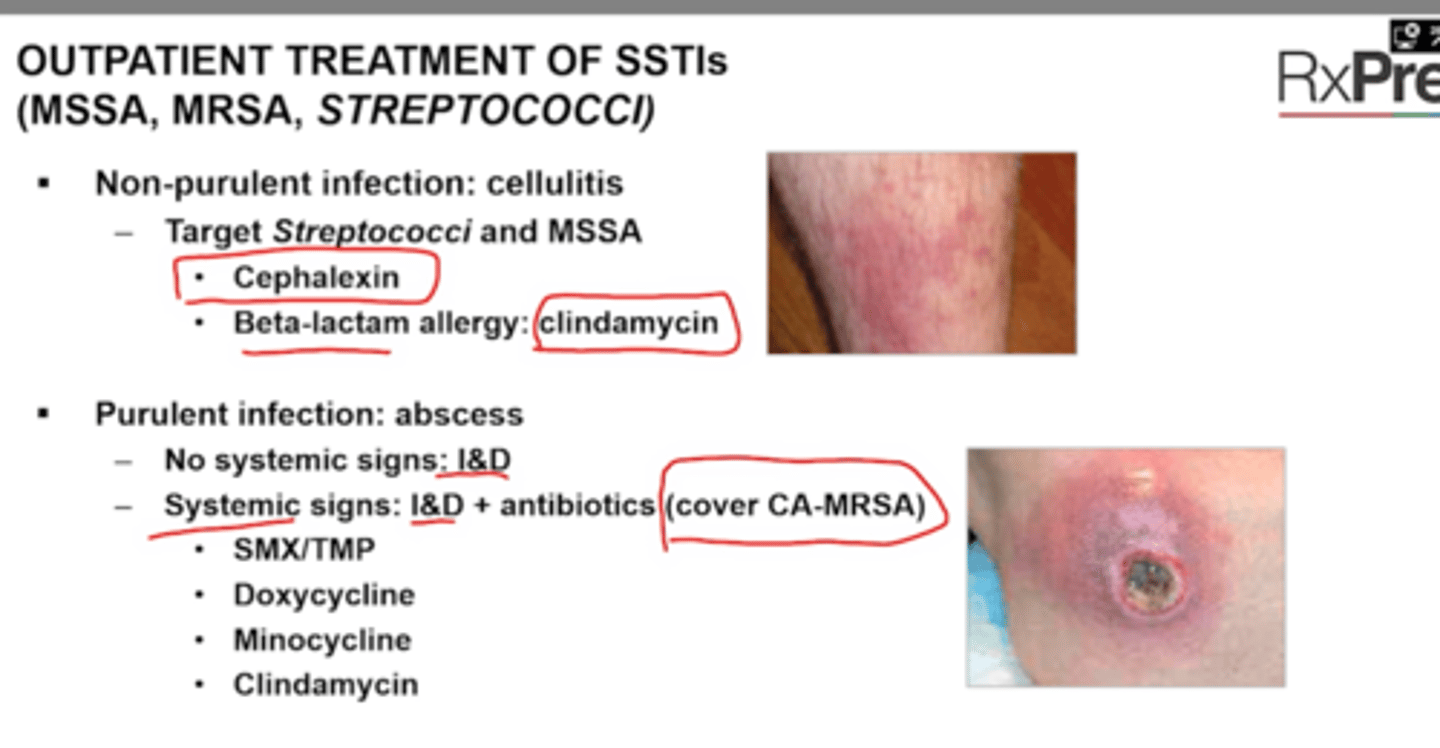 <p>Non-purulent infection: cellulitis</p><p>Purulent infection: abscess</p>