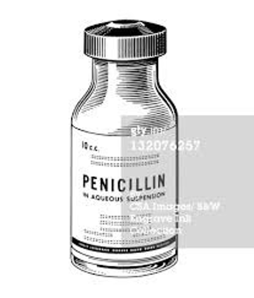 <p>Contribution: Discovered penicillin Why it matters: First antibiotic</p><p>Extra detail: Observed mold killing bacteria accidentally</p>