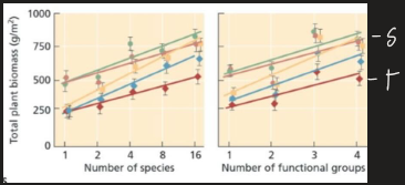 <p>jena biodiversity experiment</p>