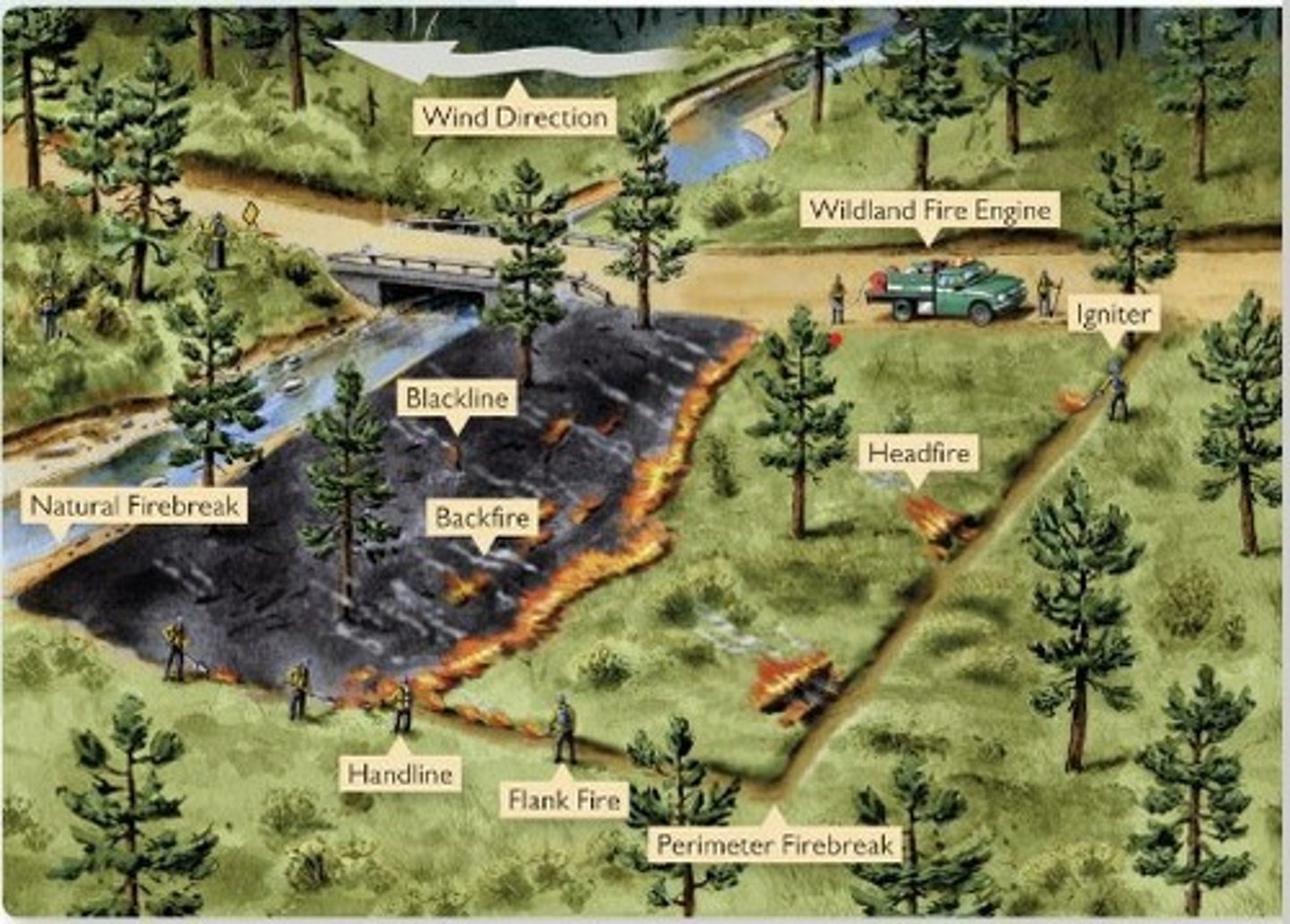 <p>1. Satellites/infrared sensory/cameras can detect thermal variation so fires can be detected early<br><br>2. NASA drone technology can survey vast area (e.g., Great Dismal Swamp on Virginia-North Carolina border, USA) fully equipped drones with a 2m wingspan has a range of about 13km and can fly for about an hour<br>o Can be used to track the spread of wildfires and predicts it path, combined with local meteorological, vegetation, and landscape data to track its spread<br><br>e.g.,<br>UK satellites from ESA provided data on recent Scotland wildfires<br>USA National Weather Service provides specially trained incident meteorologists to help authorities who are tackling the wildfire, giving weather forecast to help predict fire behaviour<br><br><br>3. Management organisation to manage risk of wildfires<br>... The Home Office overseas agencies such as:<br>- The Chief Fire Officers Association (CFOA)<br>- The England and Wales Wildlife Forum (EWWF)<br>- The Scottish Wildlife Forum (SWF)<br>... bodies work together with local agencies to reduce the impact of wildfires<br><br>... in the USA national organisations like FEMA (federal emergency management agency) and the US Forest Service work together with state-based department such as the California Department of Forestry and Fire Protection (CAL FIRE) to protect and manage fires</p>
