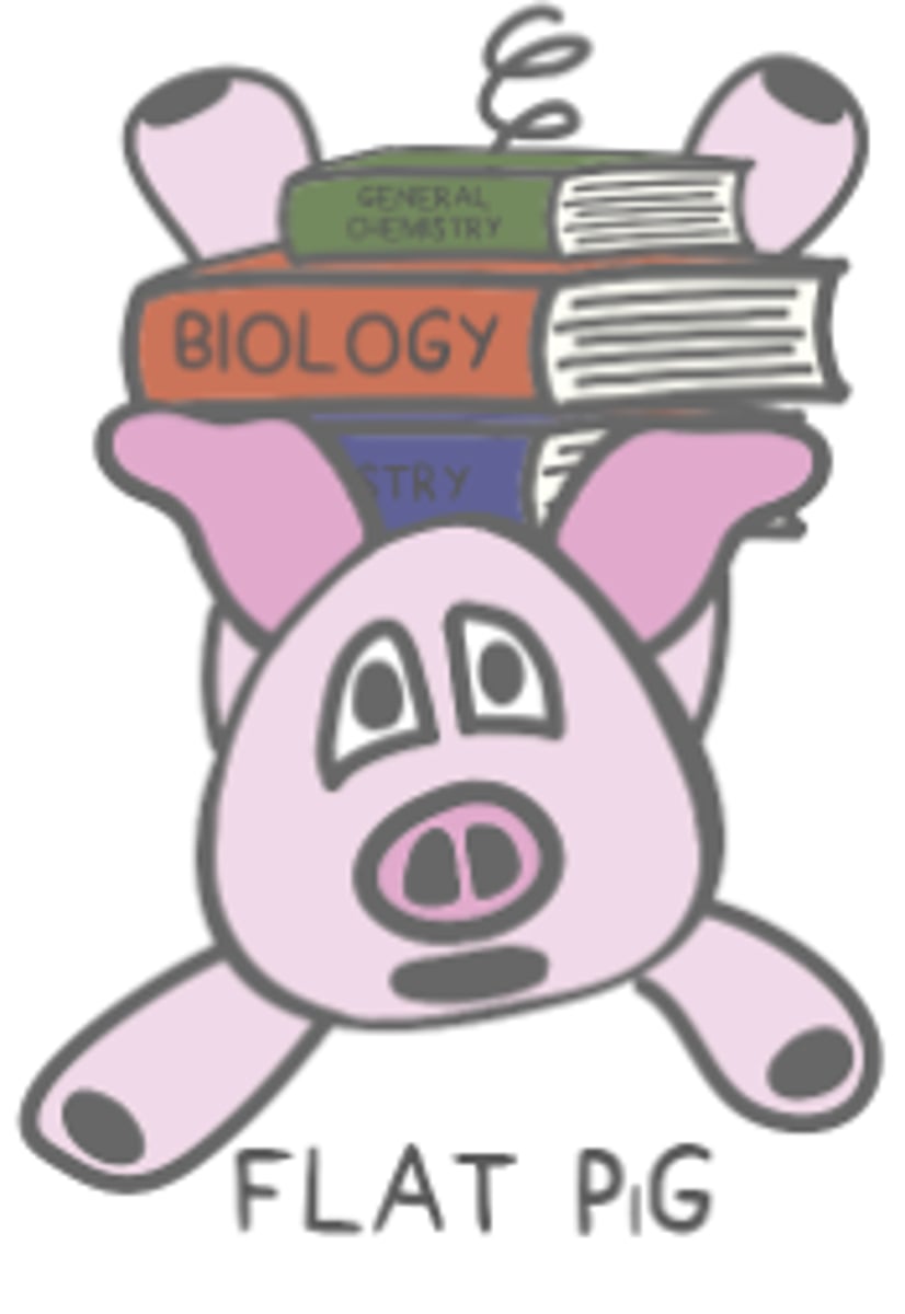 <p>FLAT PiG</p><p>- Follicle Stimulating Hormone (FSH)</p><p>- Luteinizing Hormone (LH)</p><p>- Adrenocorticotropic Hormone (ACTH)</p><p>- Thyroid Stimulating Hormone (TSH)</p><p>- Prolactin</p><p>- ignore</p><p>- Growth Hormone (GH)</p>