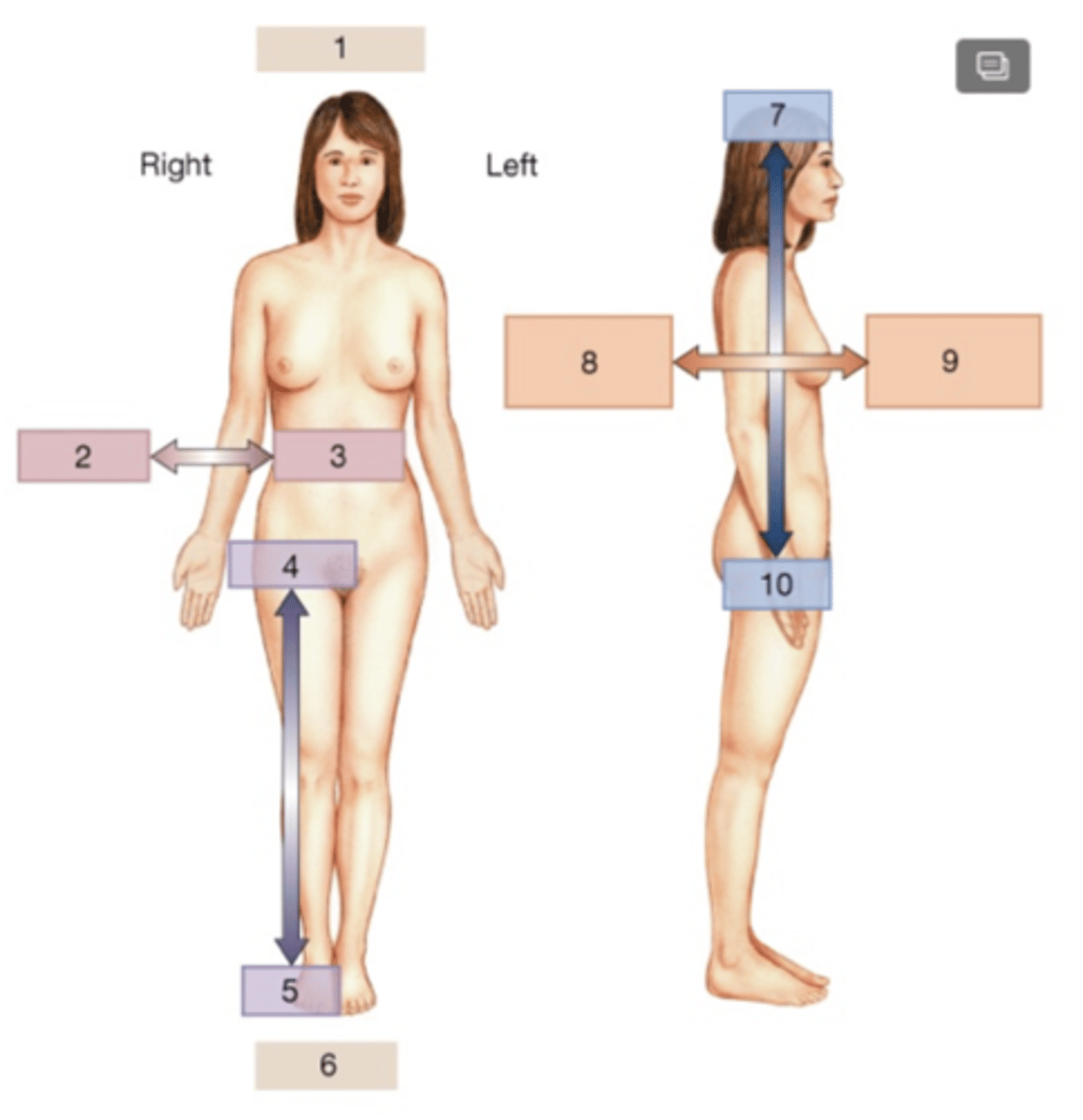<p>Posterior or Dorsal</p>