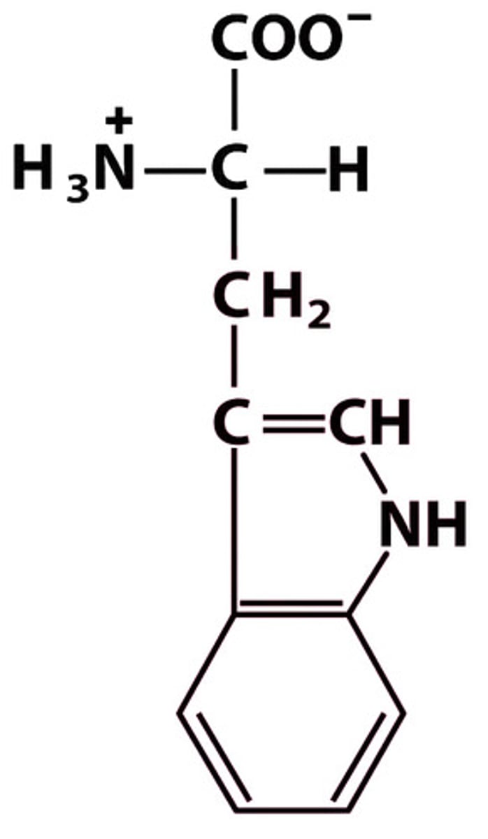 <p>Give the symbol, abbreviation, name of this amino acid</p>