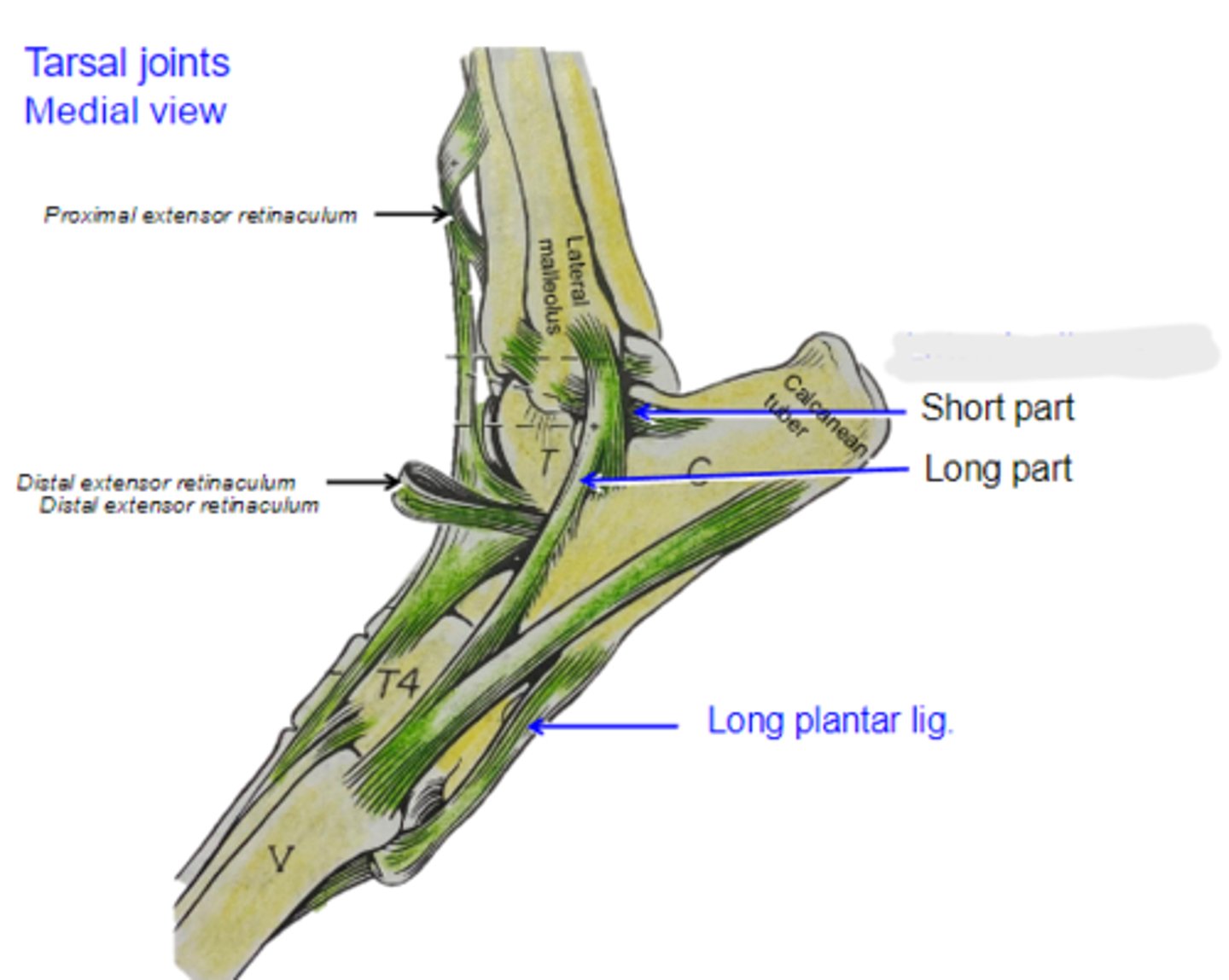 <p>What is shown?</p>