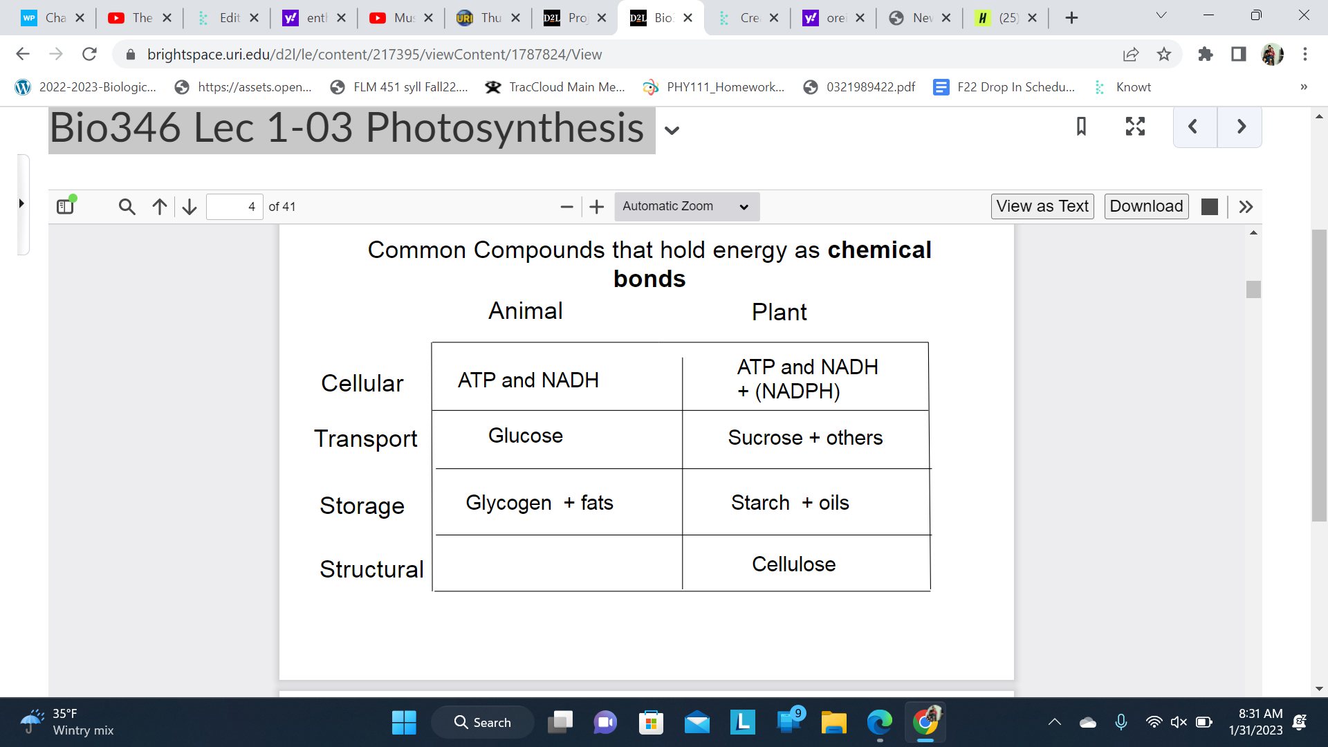 Chemical Bonds + Electrochemical Gradients

\
Chemical bonds releases most of energy as enthalpy and some entropy ask

\
Electrical Gradients relation to entropy(maintained perhaps)