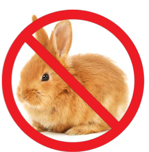 <ul><li><p>Rabbits</p><ul><li><p>GI signs, lethargy → seizures → death</p></li></ul></li></ul><p></p><p>Fipronil = Fluffer</p>