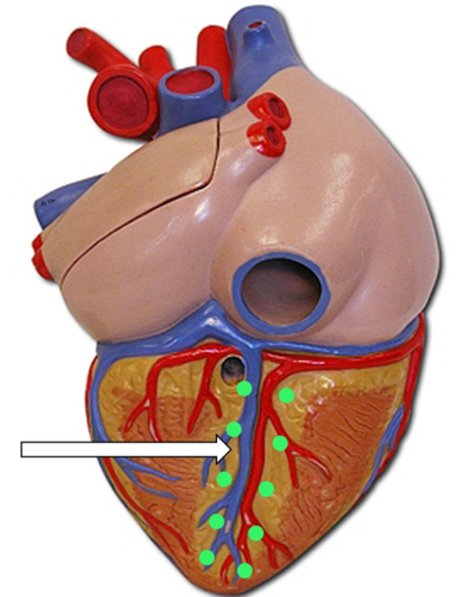 <p>name the structure</p>