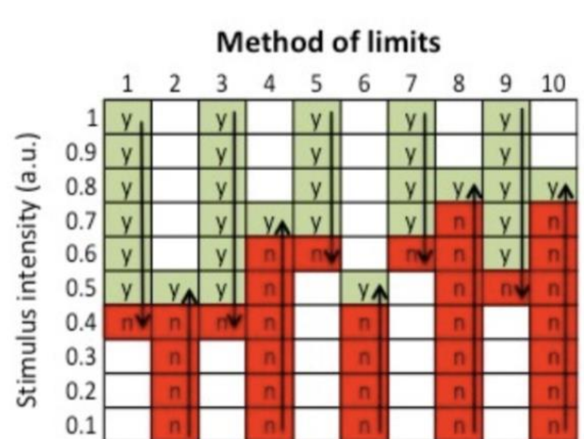 <ul><li><p>start very high/low and increase or decrease until there’s reversal (until they finally detect or stop detecting stimulus)</p></li></ul><p></p>