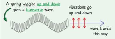 <ul><li><p>In transverse waves, the oscillations (vibrations) are perpendicular (at 90°) to the direction of energy transfer.</p></li><li><p>Most waves are transverse, including:</p><p>1) All electromagnetic waves, e.g. light </p><p>2) Ripples and waves in water </p><p>3) A wave on a string.</p></li></ul><p></p>