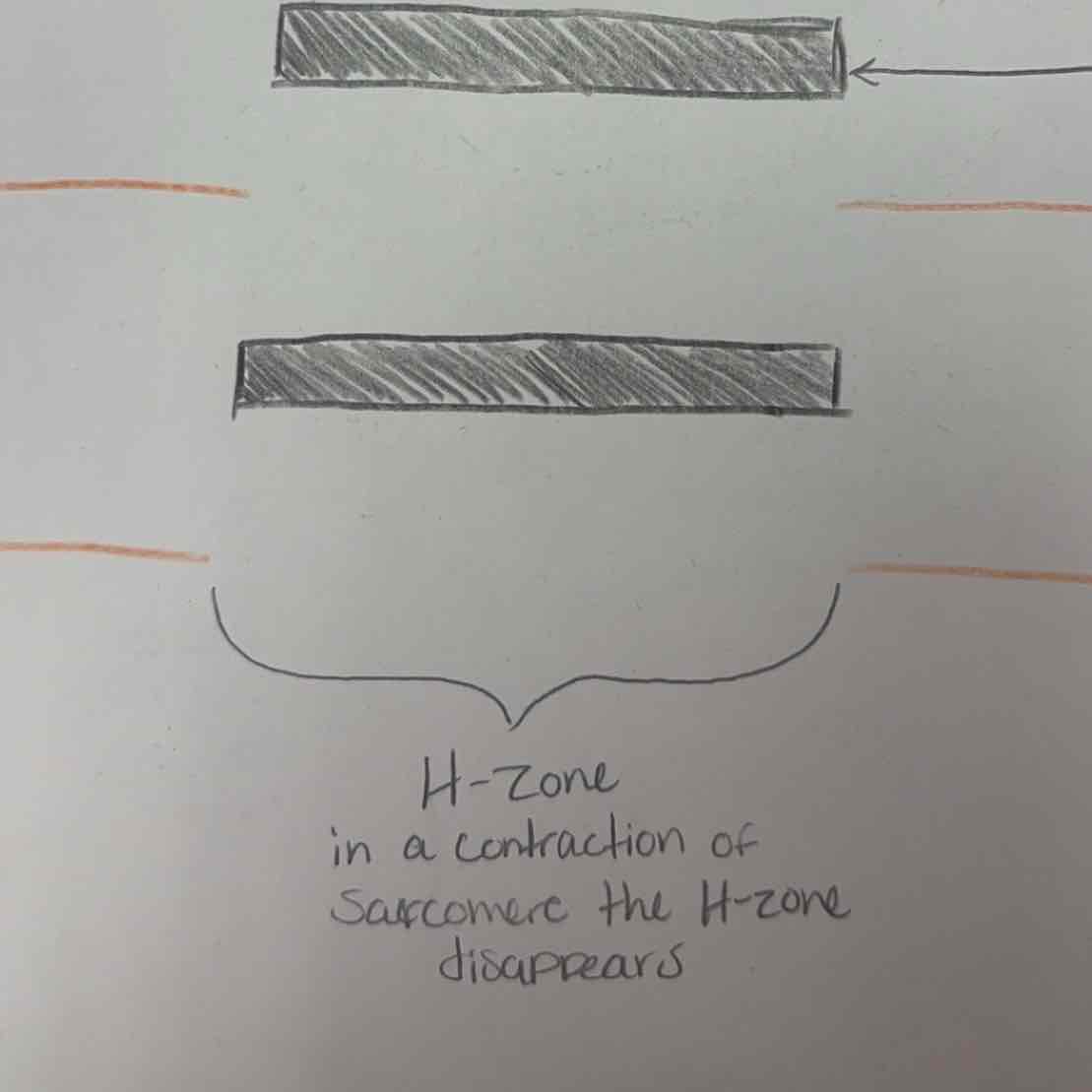 <p></p>