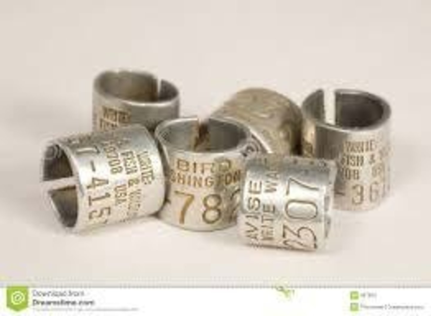 <p>To estimate survival rates and population dynamics by marking individuals and observing them over time.</p>