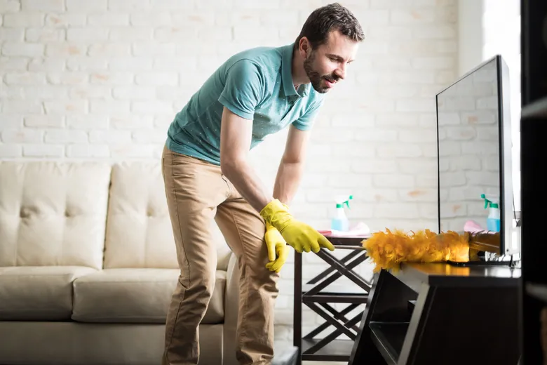 <p>Dusting</p>