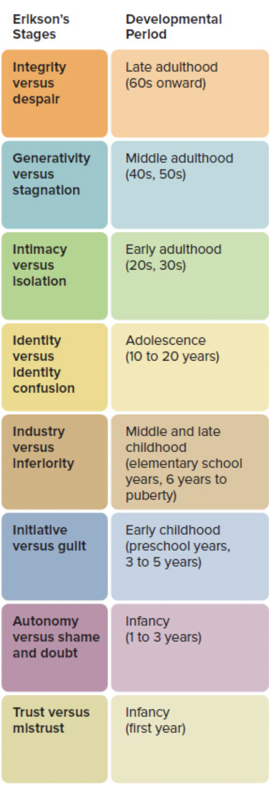 <p>eight stages of development unfold as we go through life. At each stage there is a crisis that needs to be resolved for development to occur</p>